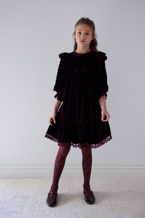 Petite Amalie Lace trim dark cherry velvet dress