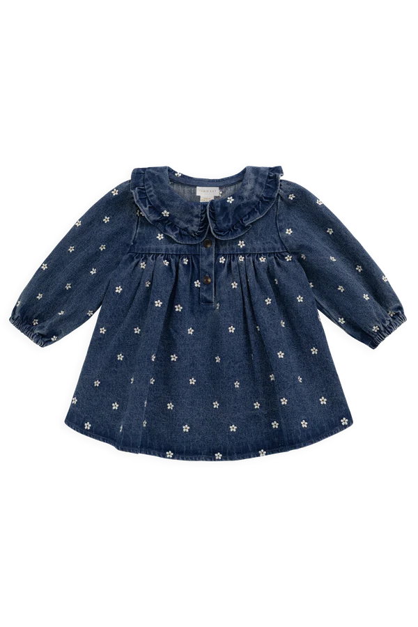 ladies dress jeans Ira Dress