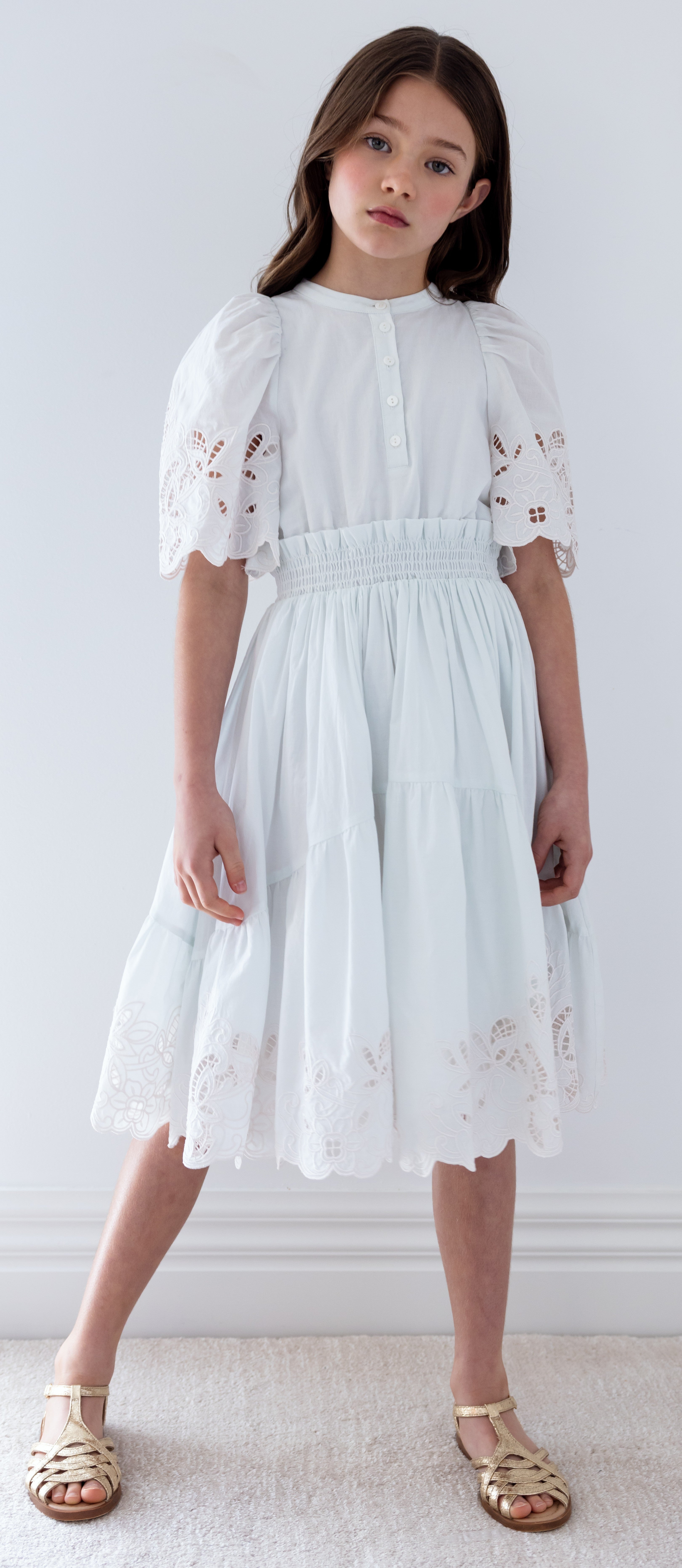 Petite Amalie Shirred embroidered dress Flying Colors Petite Amalie Shirred embroidered dress Flying Colors