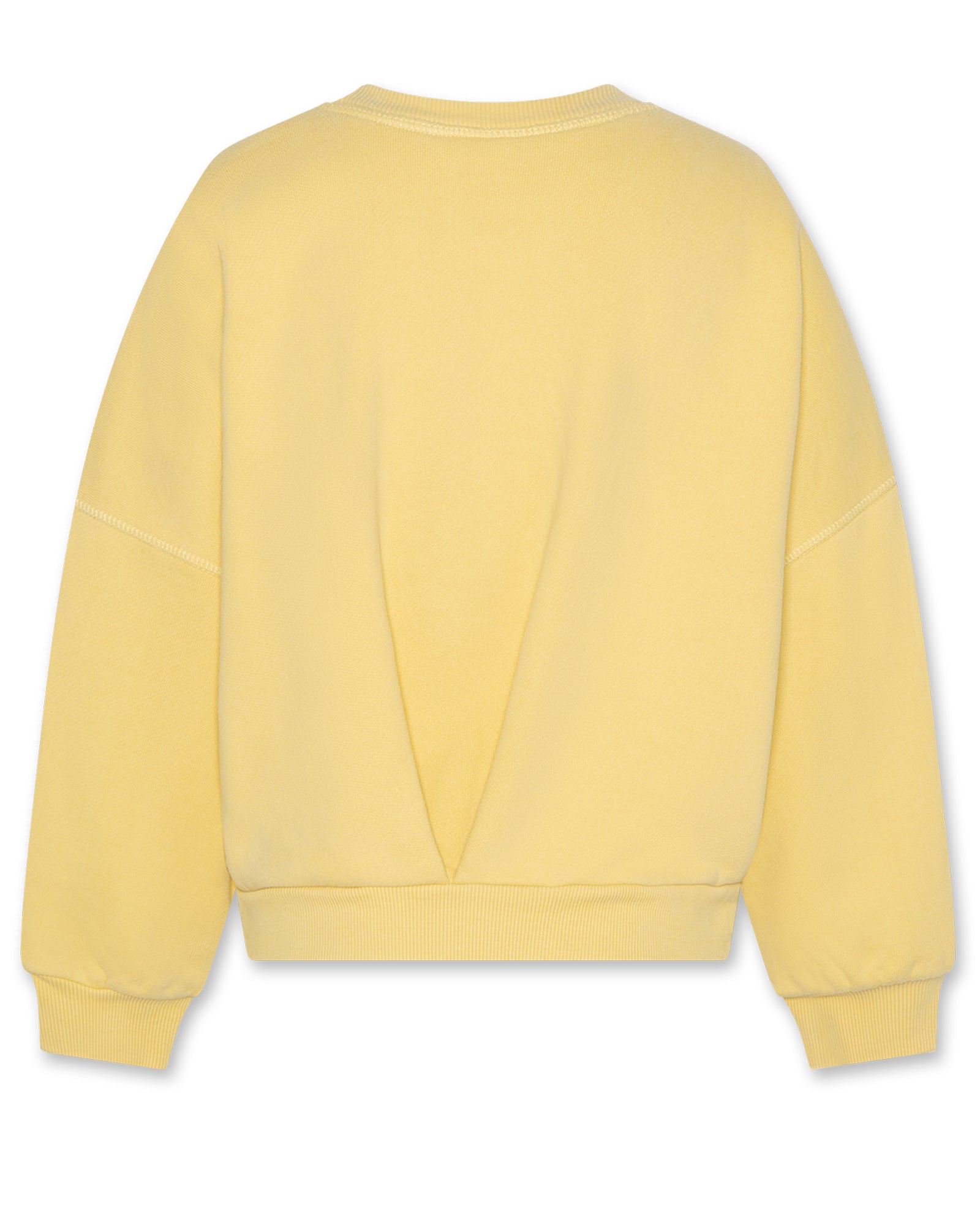 AO76 Iys ginger sweatshirt