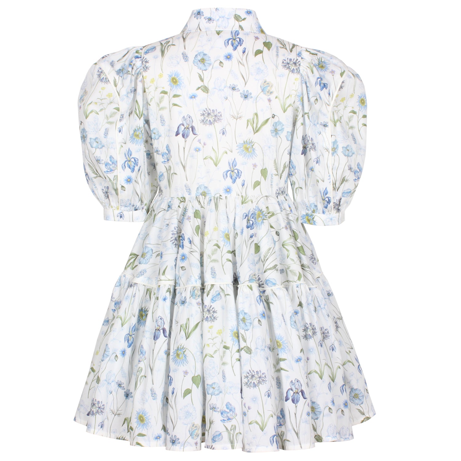 Glistening Blue Meadow Dress by Jessie & James
