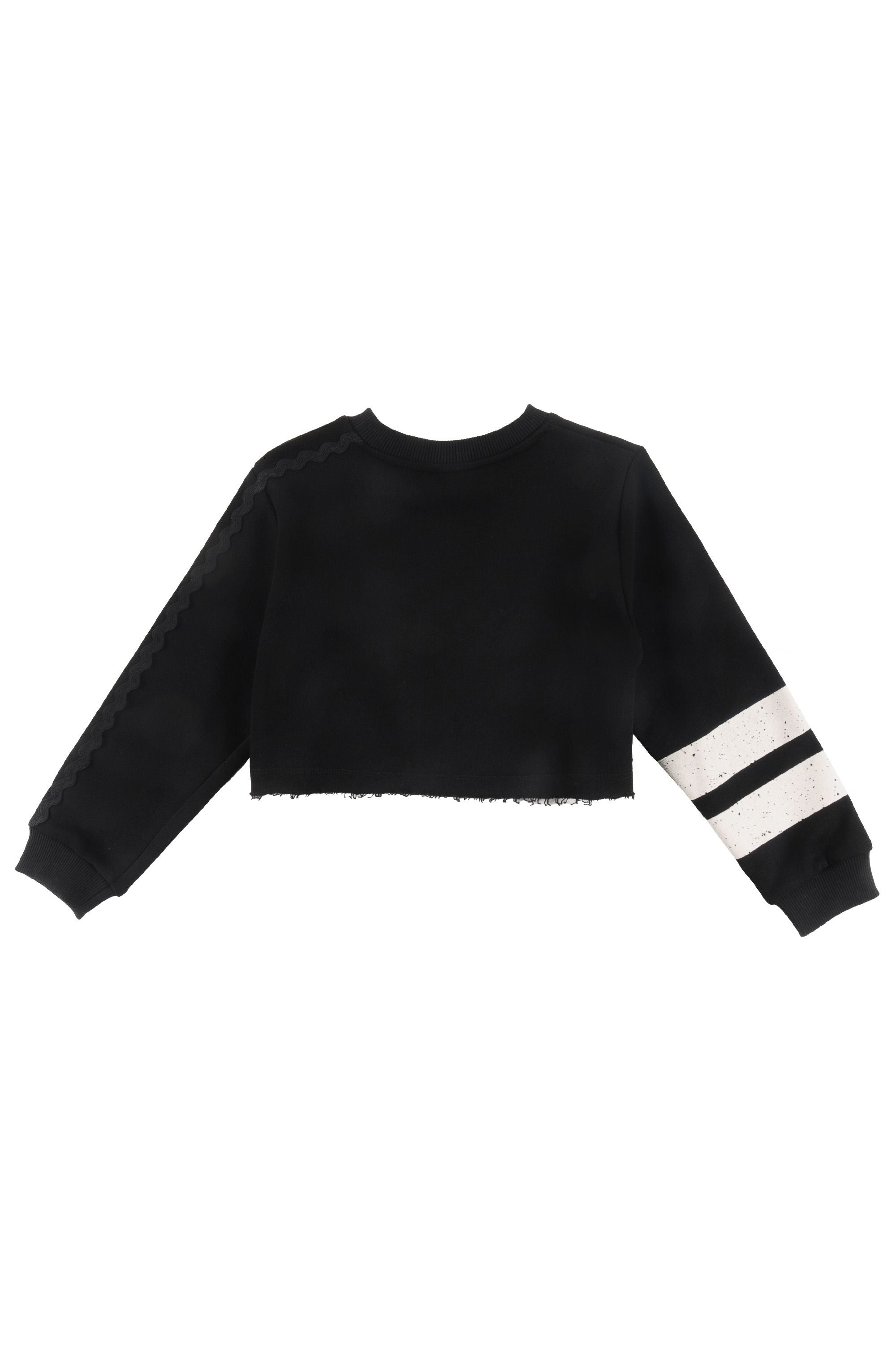 Loud Stripe sleeves & ric rac sweatshirt