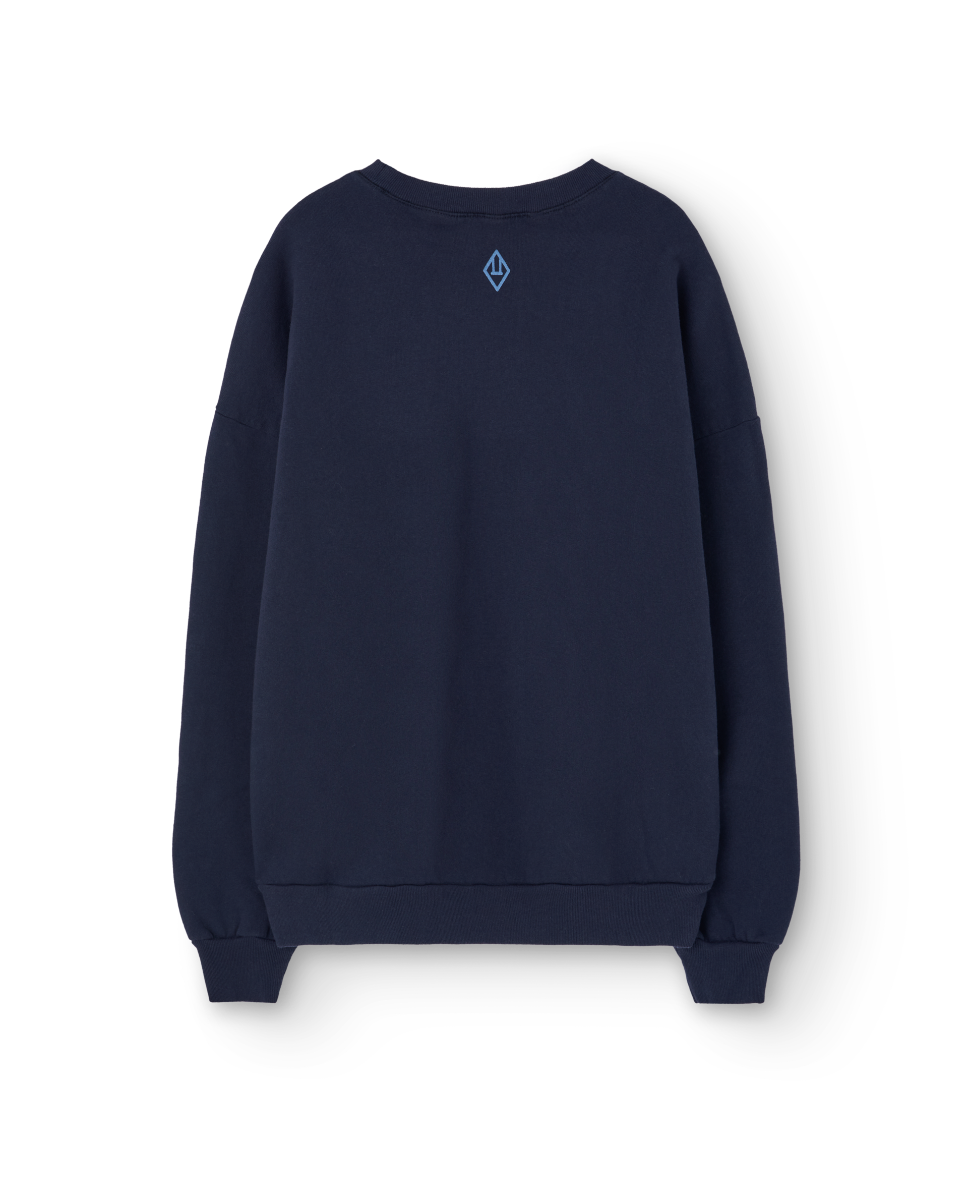 TAO Leo navy sweatshirt