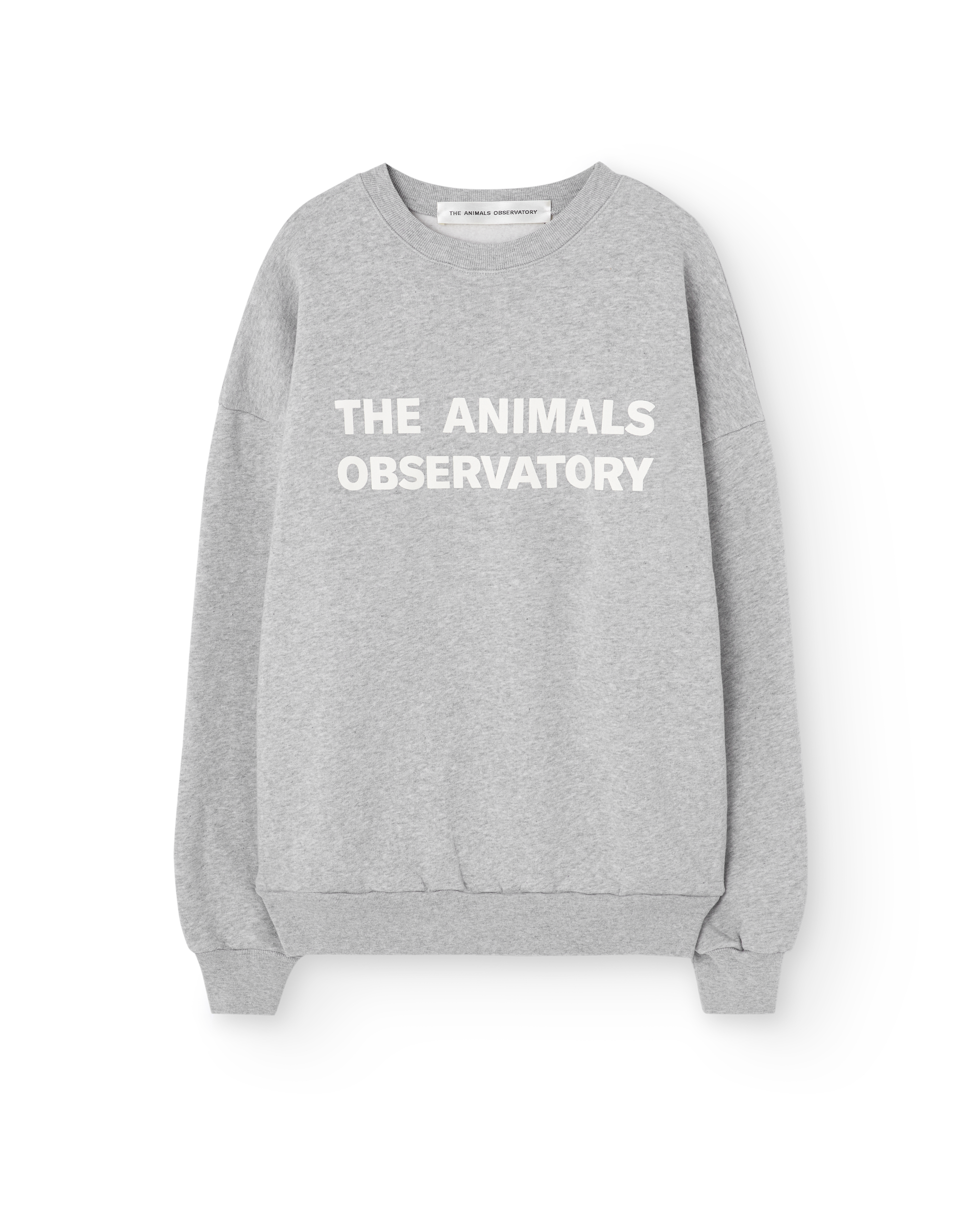 TAO Leo grey sweatshirt