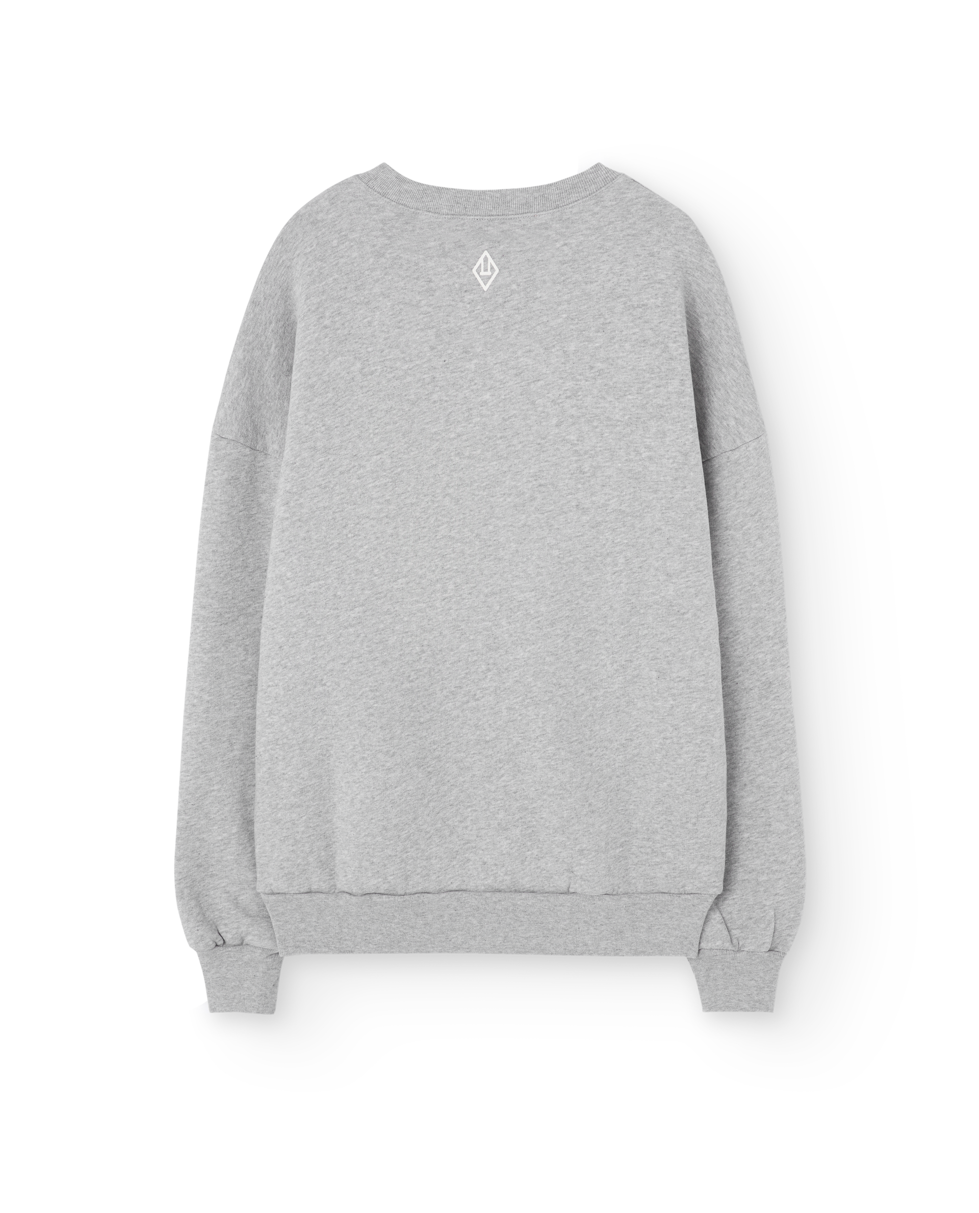 TAO Leo grey sweatshirt