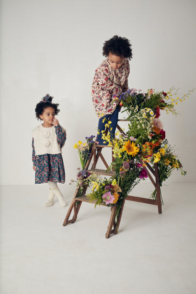 Roulotta dress by Louise Misha