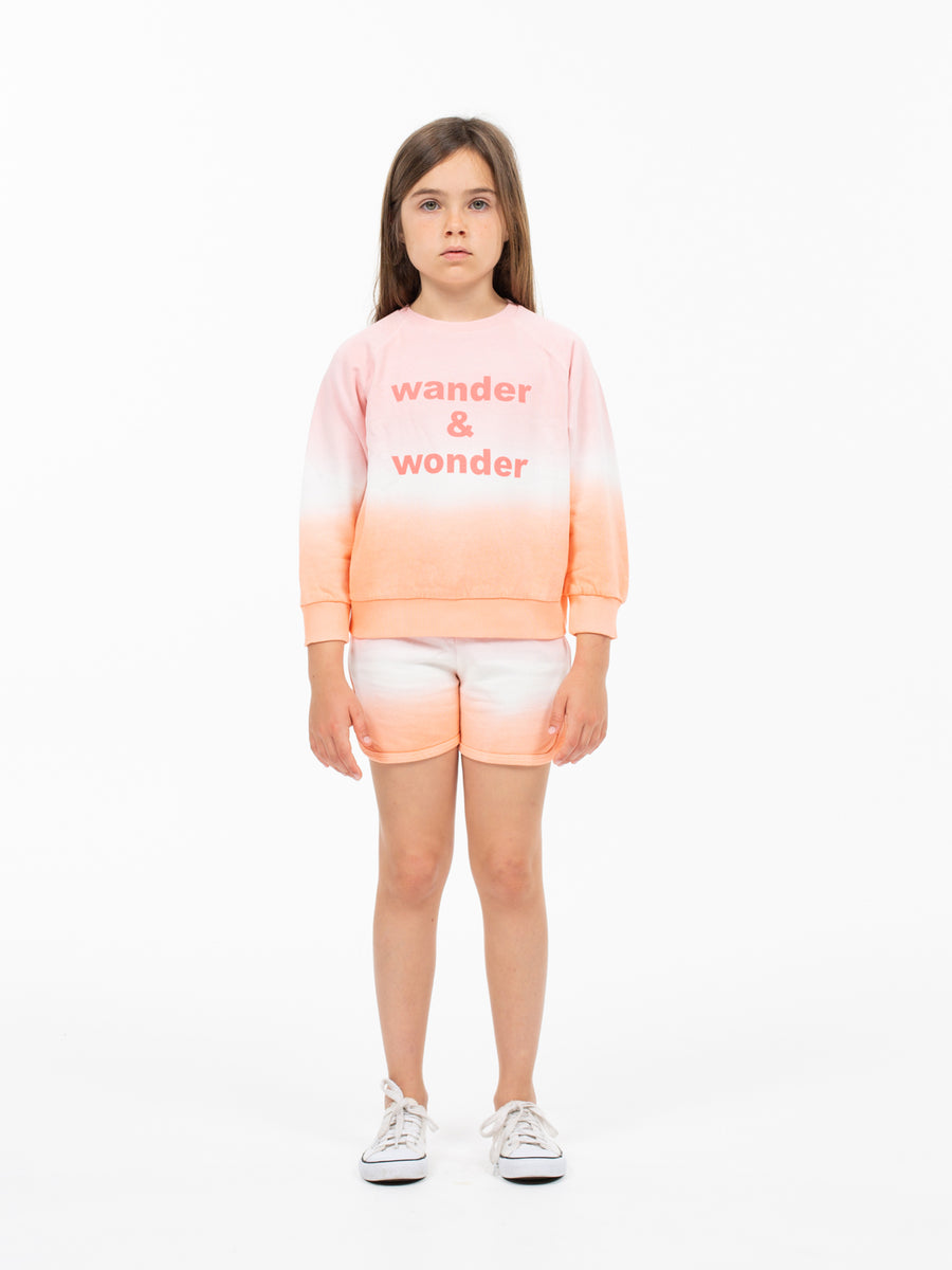 Ombre Punch Logo Sweatshirt by Wander & Wonder