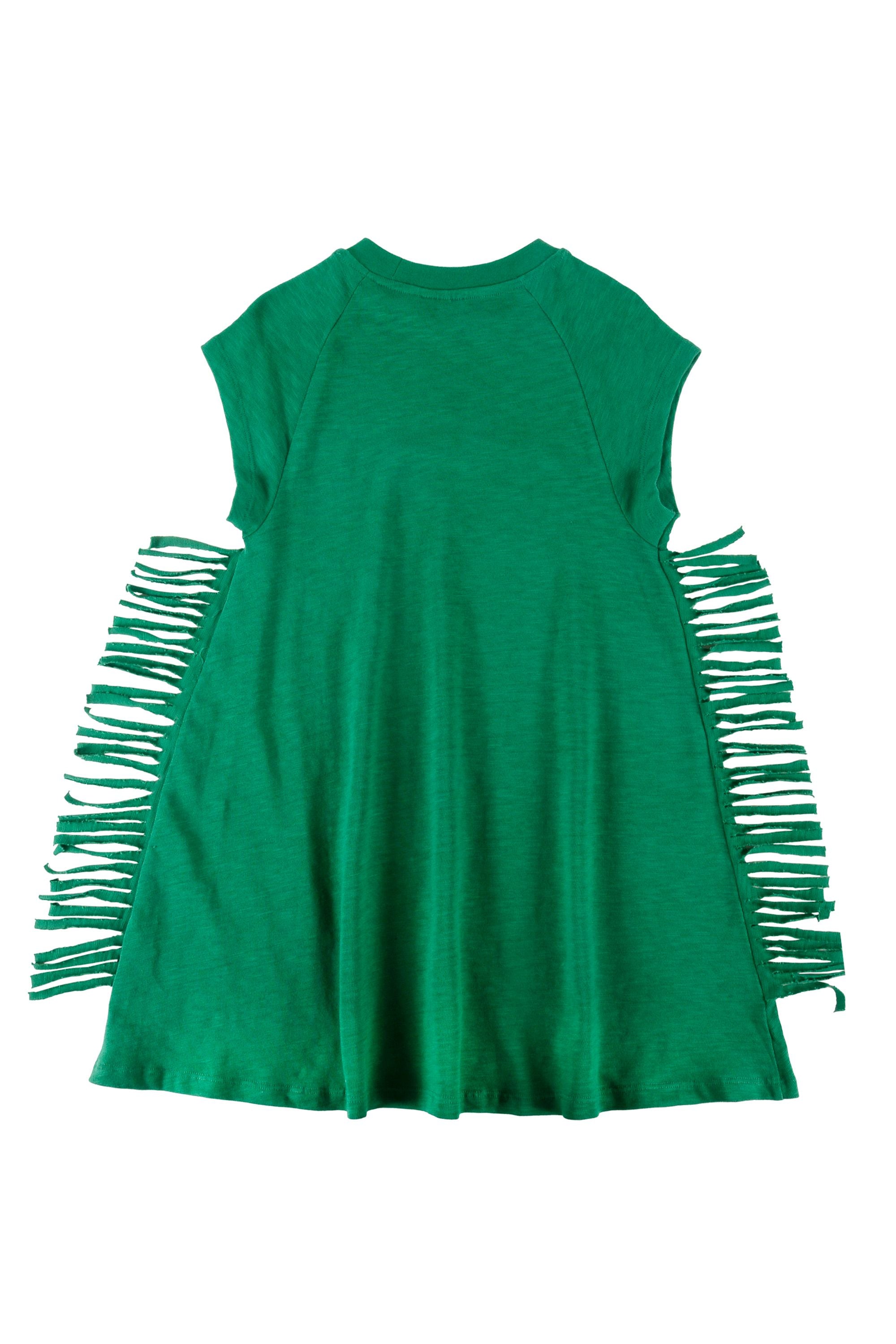 Loud Fringed dress Flying Colors Loud Fringed dress Flying Colors