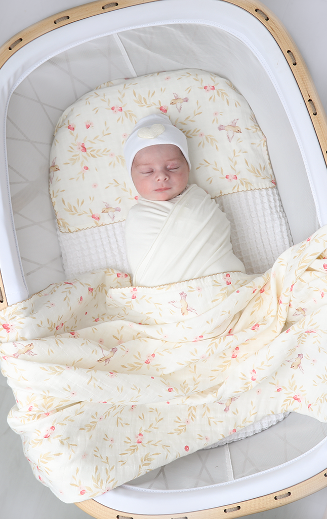 Swaddleme sales baby bassinet